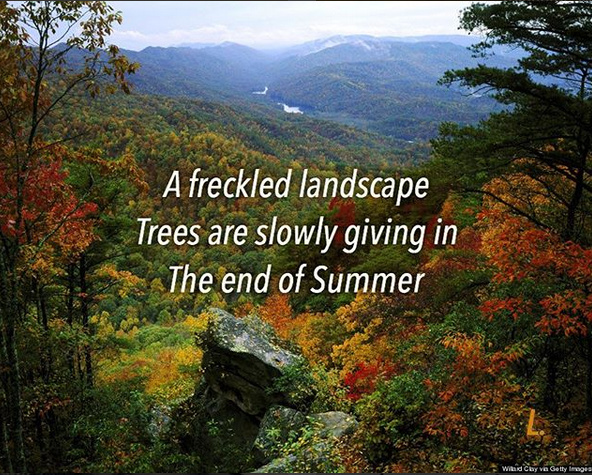 Fullscreen capture 2018-09-08 23640 PM.bmp